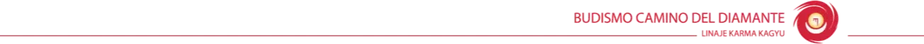 Logo de Budismo Camino del Diamante